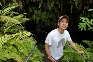 More travel--you bet! 