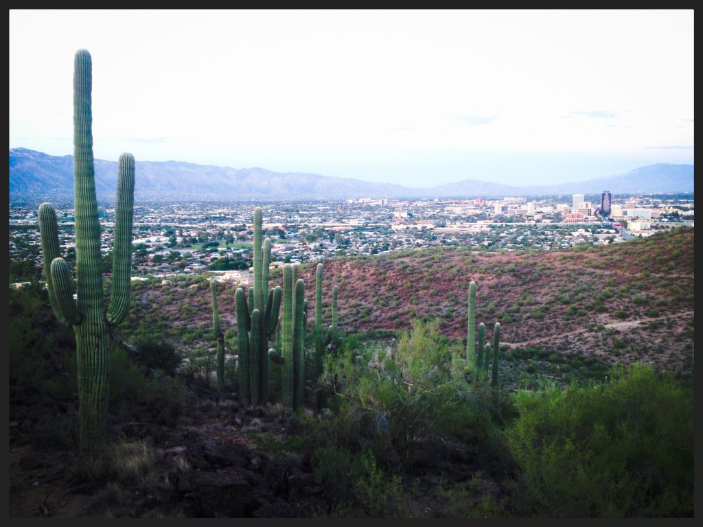 View of Tucson from the mountains to the west of the city...