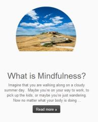 "Matt, is a 4th year medical student who has adopted mindfulness practices for himself and is writing a blog about his experiences. "