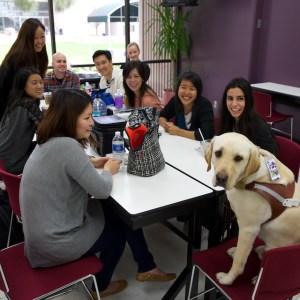 Pancho relaxing with SCCO optometry students in the Student Lounge