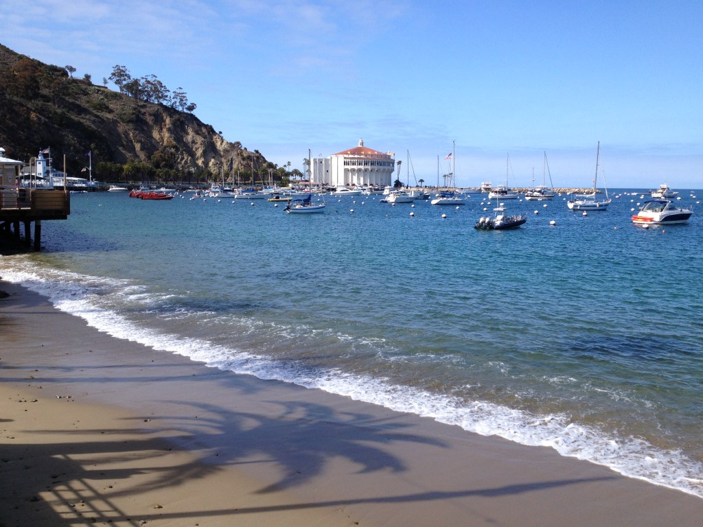 "Taking a break from studies to jump over to Catalina Island, not too far from school."