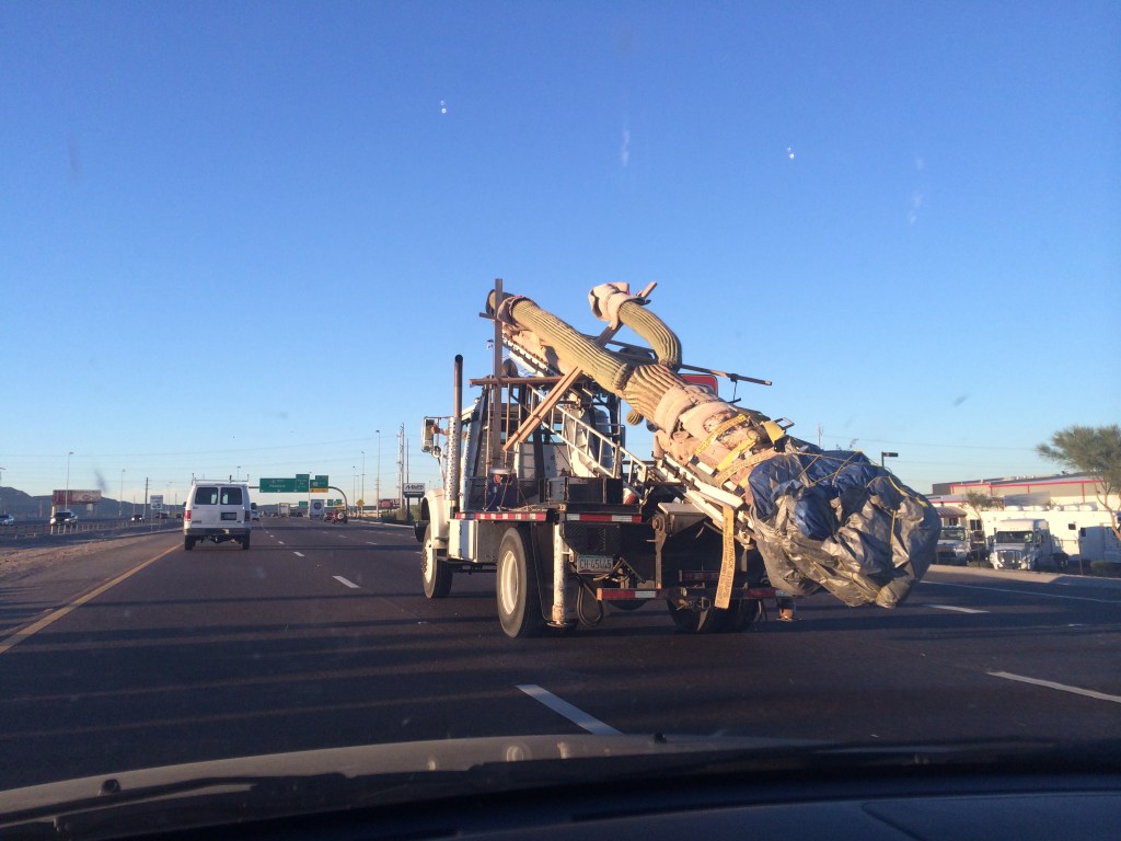 "This is how they move cactus in Arizona!"