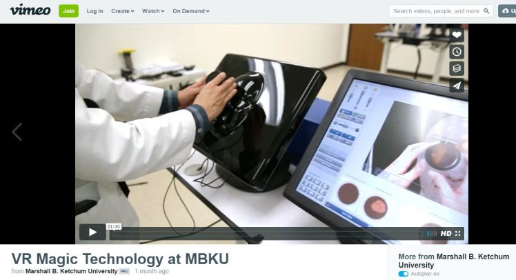 SNippet of Video instead of embedding