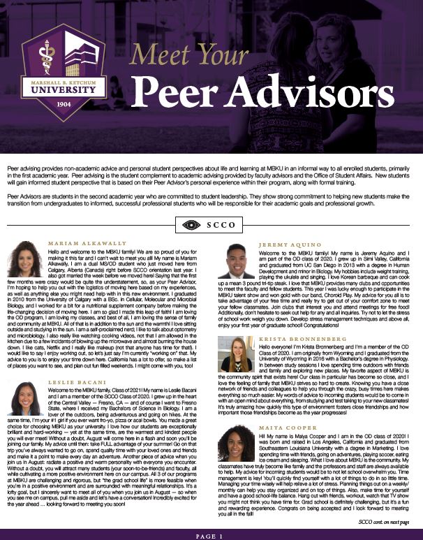 PDF Peer Advisor Bronnenberg