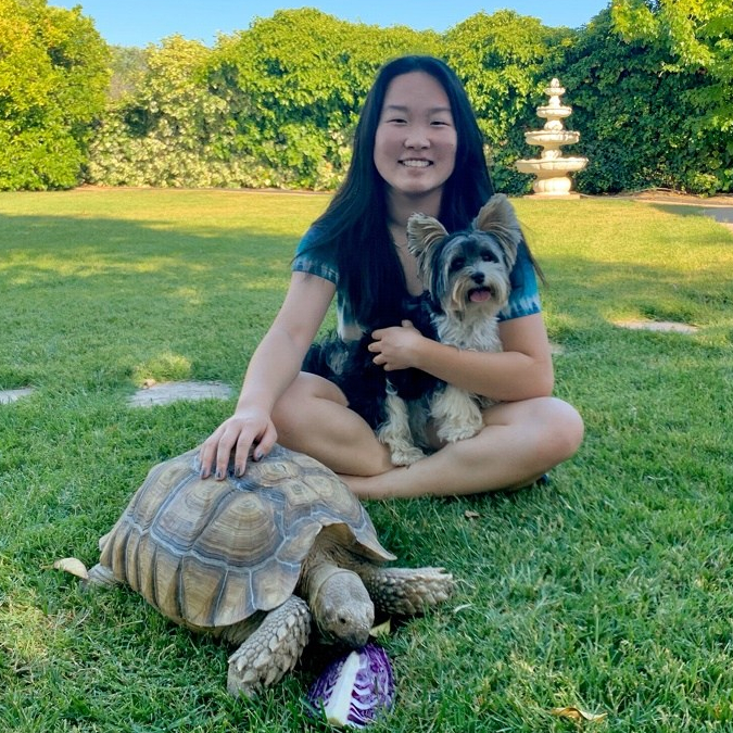 Tiff_Bandit the puppy_andBuddy the tortoise