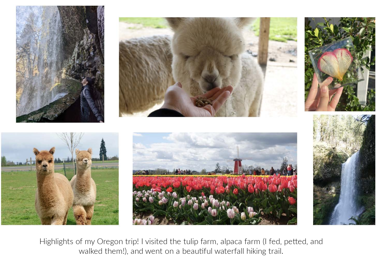 Blog_Tammy_Photo copy